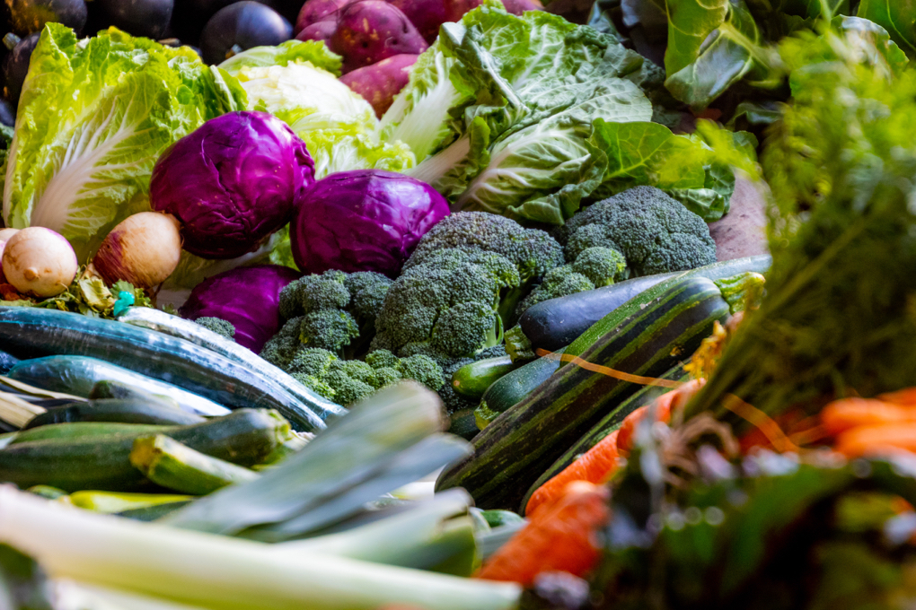1020 - assorted-broccoli-cabbage-1300972