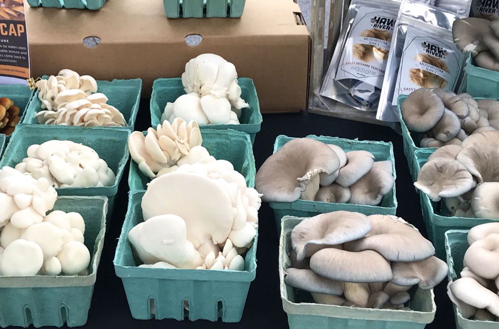 Photo of mushrooms at farmers market as example of the health benefits of mushrooms