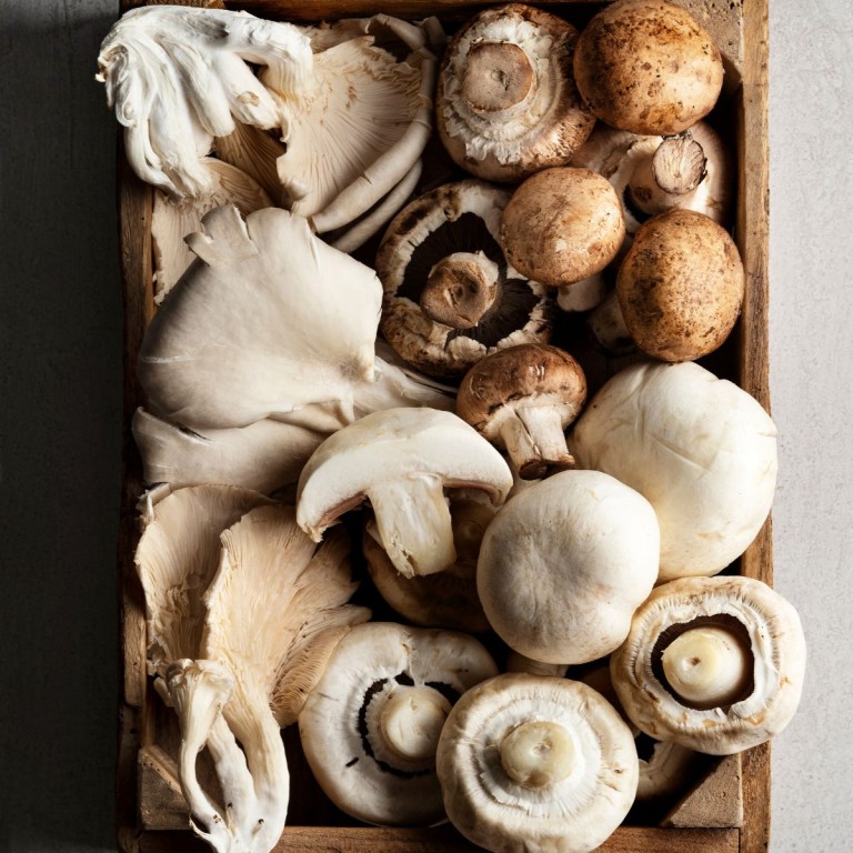 Seasonal Produce Spotlight: The Nutritional Benefits of Mushrooms