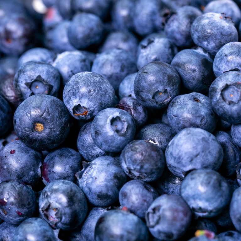 Seasonal Produce Spotlight: The Health Benefits of Blueberries
