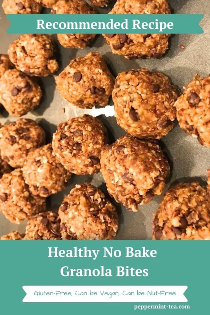 Healthy No Bake Granola Bites