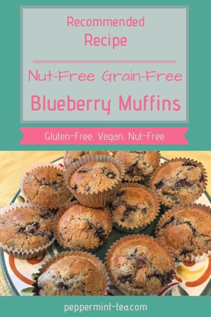 Nut-Free Grain-Free Blueberry Muffins