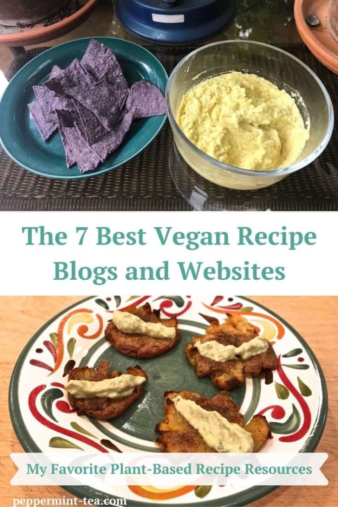 The 7 Best Vegan Recipe Blogs and Websites