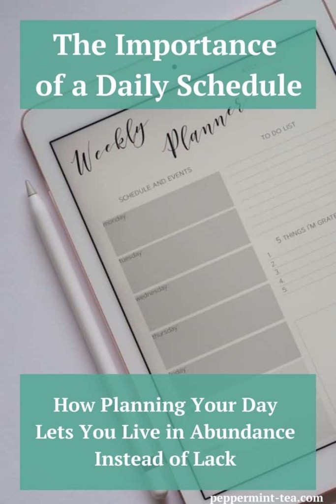 The Importance of a Daily Schedule
